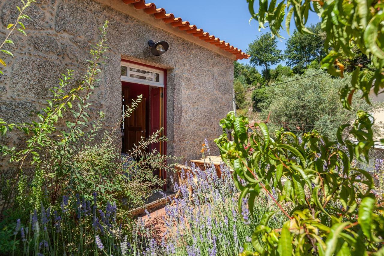 Casa Do Eido - Sustainable Living & Nature Experiences Жереш Екстер'єр фото
